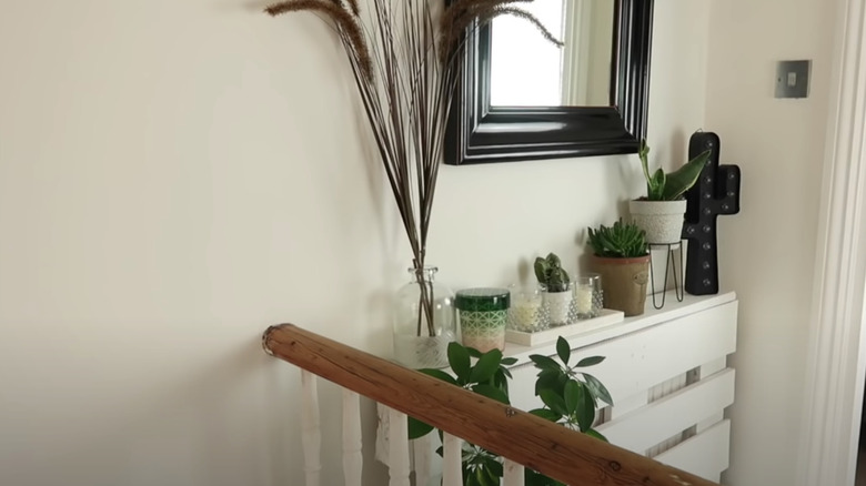 Plants on white shiplap cover