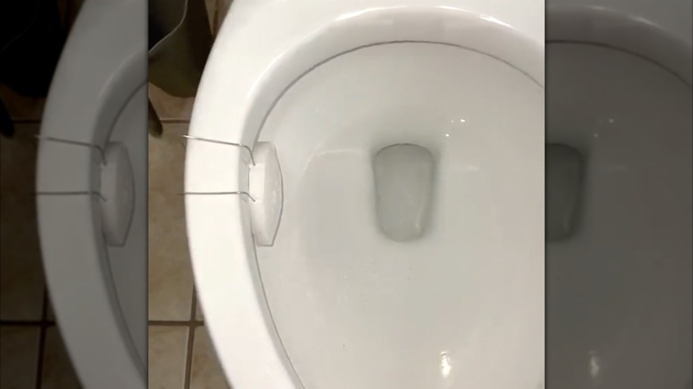 Bowl Fresh Toilet Bowl Deodorizer hanging in toilet bowl