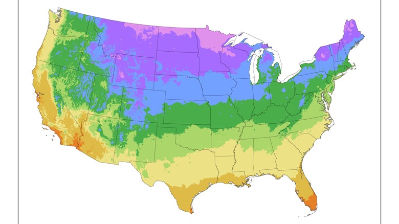 Plant hardiness zone map