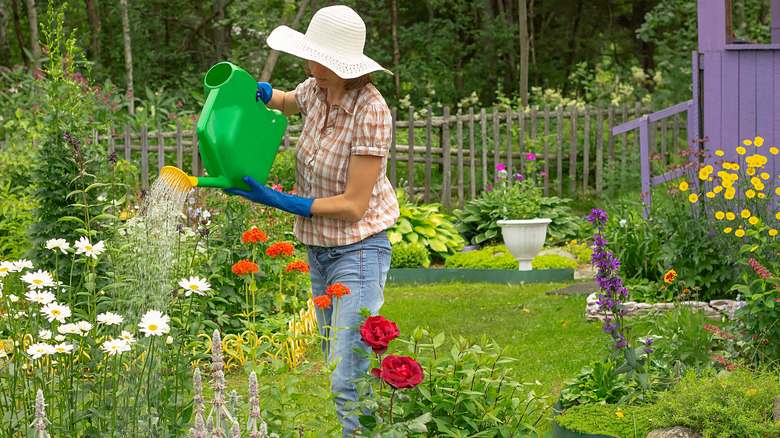 Woman watering flower garden