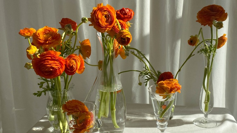 Orange buttercups in clear vases