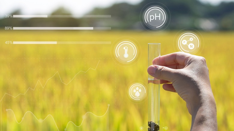 Soil test with symbols