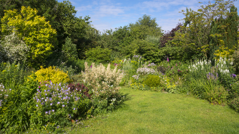 garden landscape