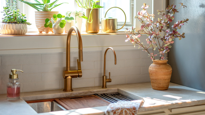 gold kitchen faucet with plants nearby