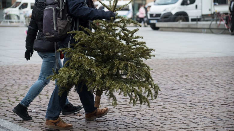 Person throwing out Christmas tree