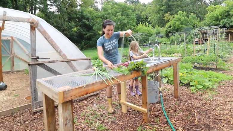 A dedicated vegetable-rinsing station with sink and hardware cloth top