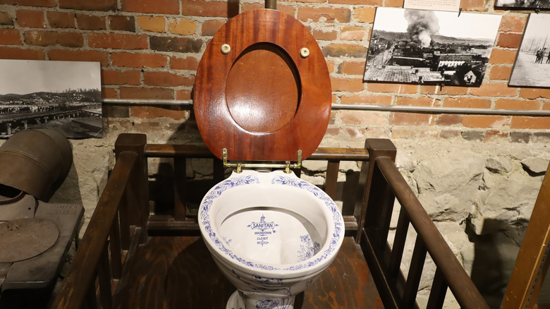 Toilet on wooden platform surrounded by railings