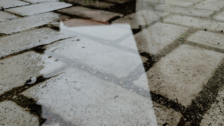 Puddles form on a paver patio