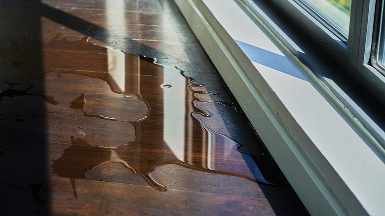 Wooden floor with water on it