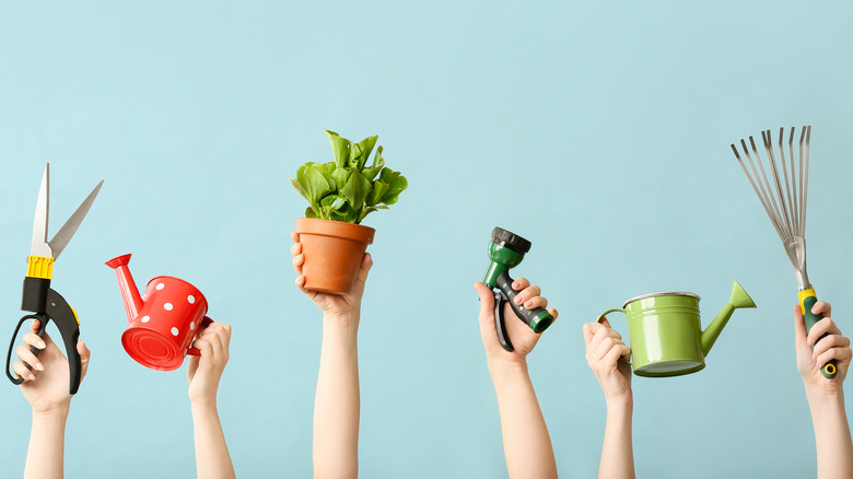 Hands holding gardening supplies