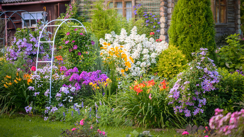 Colorful backyard flower garden