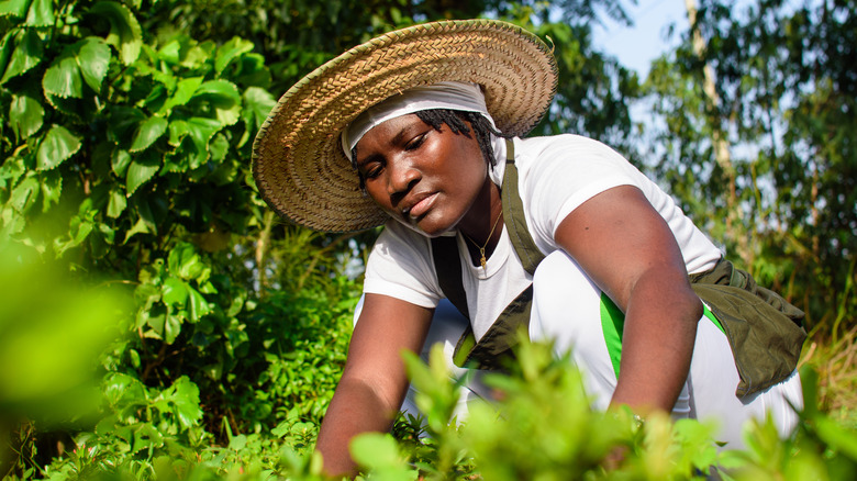 woman wearing hat and gardening