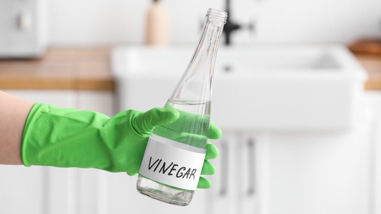 person holding bottle of vinegar 