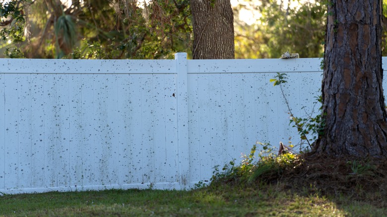 a dirty vinyl fence