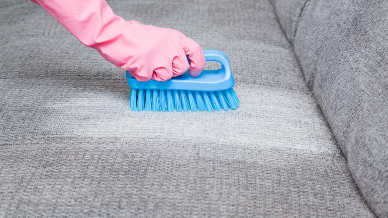 brushing couch with stiff brush