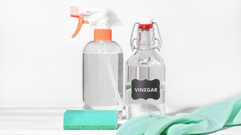 spray bottle, vinegar bottle, and sponge