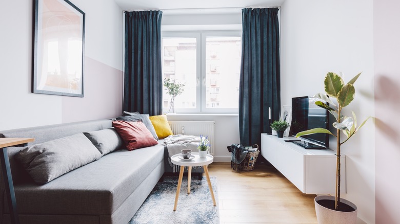 blue curtains on apartment window