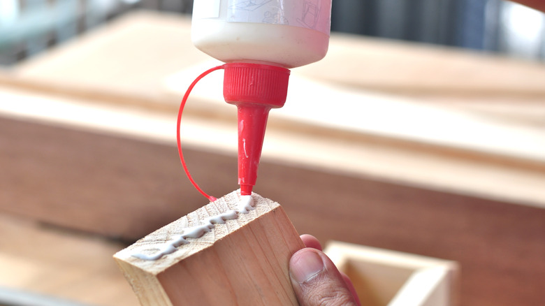 applying wood glue