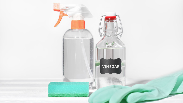 bottle of vinegar spray bottle 