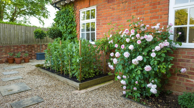 landscaping with gravel border