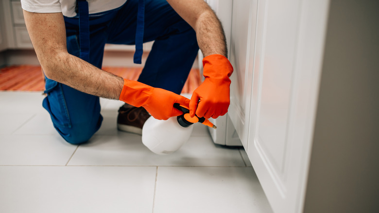 person spraying under cabinets