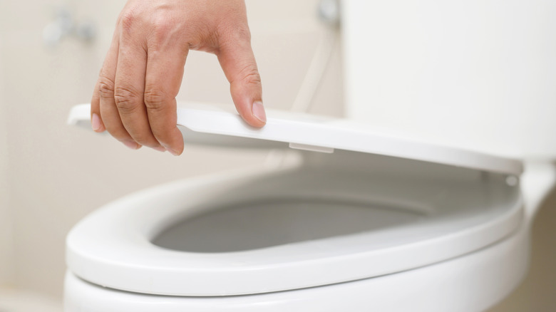 woman 's hand holding up the lid of an elongated toilet seat