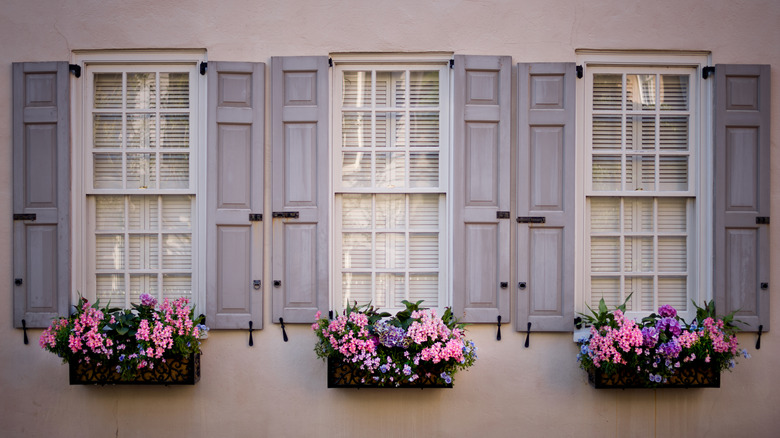 Colorful flower boxes hung on three windows