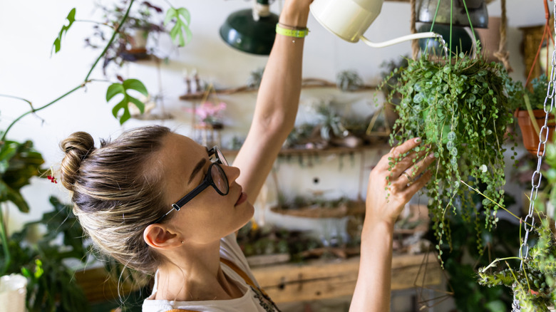 woman watering plants in home