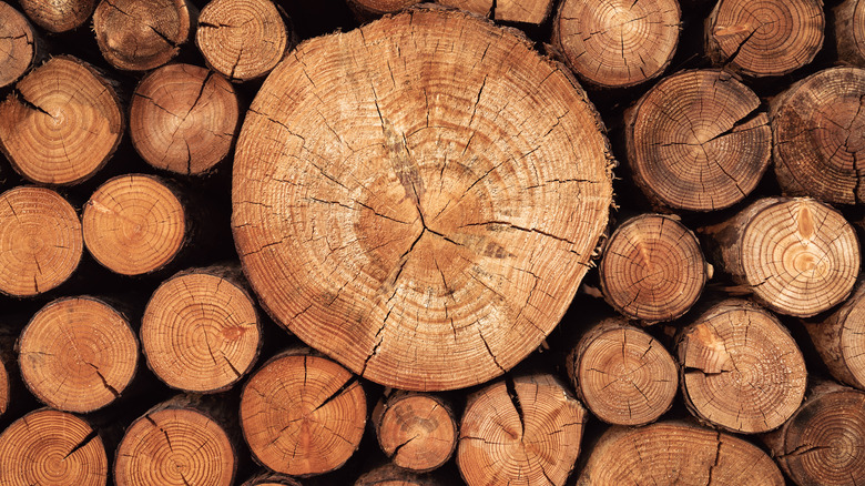 A pile of tree logs stacked neatly