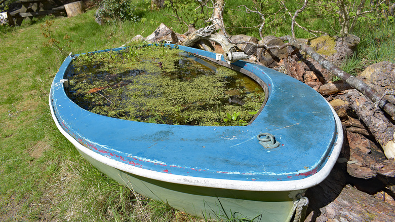boat being used as pond