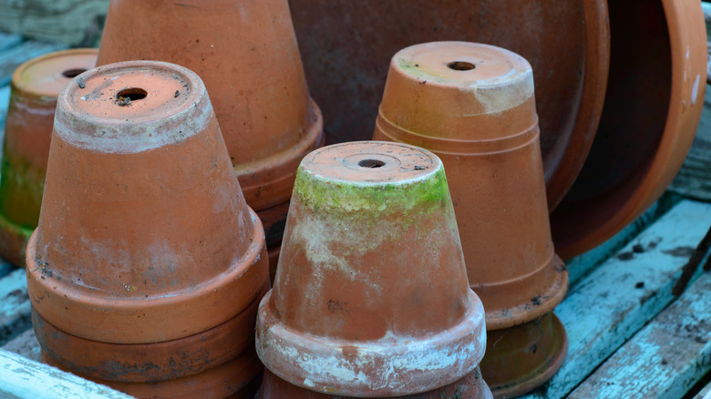 dirty and old terra-cotta planters