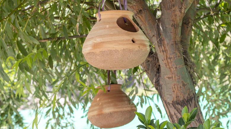 terra-cotta birdhouses in tree