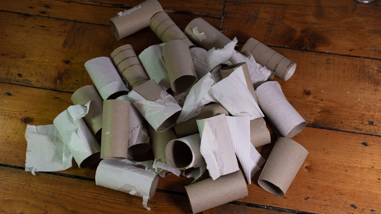pile of toilet paper tubes