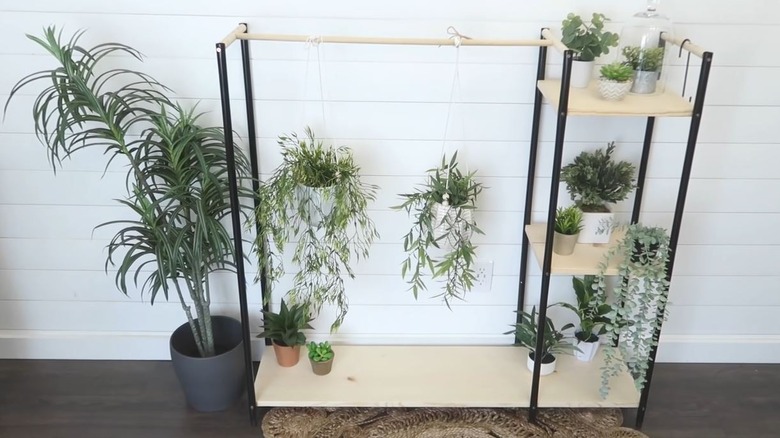 A modern plant stand with a black frame and wooden shelves has several plants hanging from it and resting on its shelves