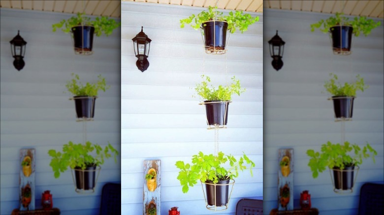 lampshade hanging planter