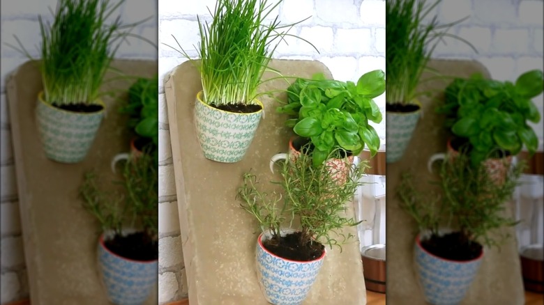 DIY teacup tiered planter