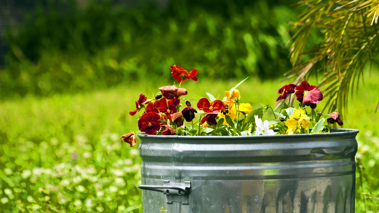 garbage can container garden