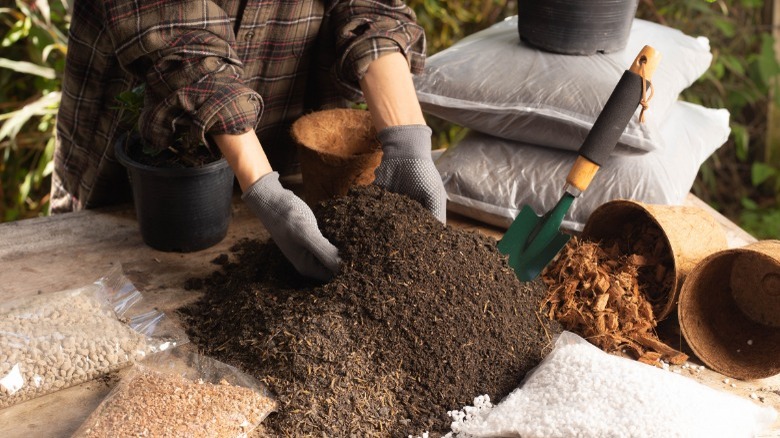 Woman gardening hands in soil 