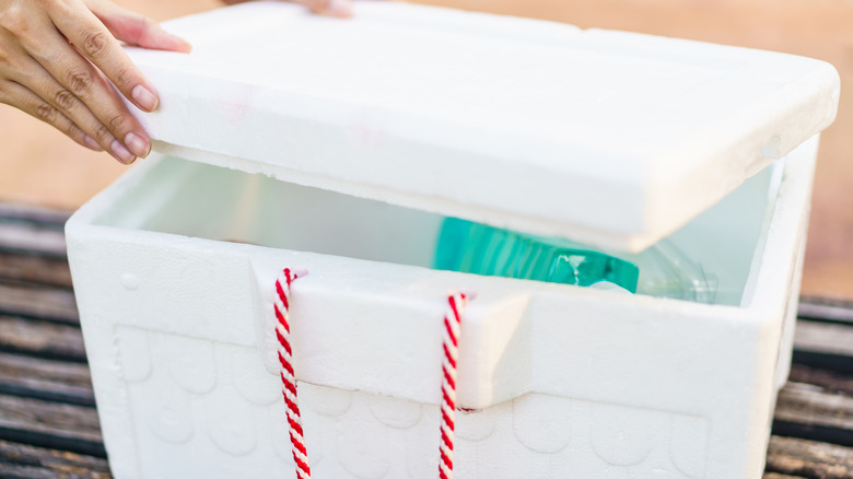 Person using styrofoam ice chest