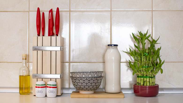 A wooden knife block and other items on a kitchen counter