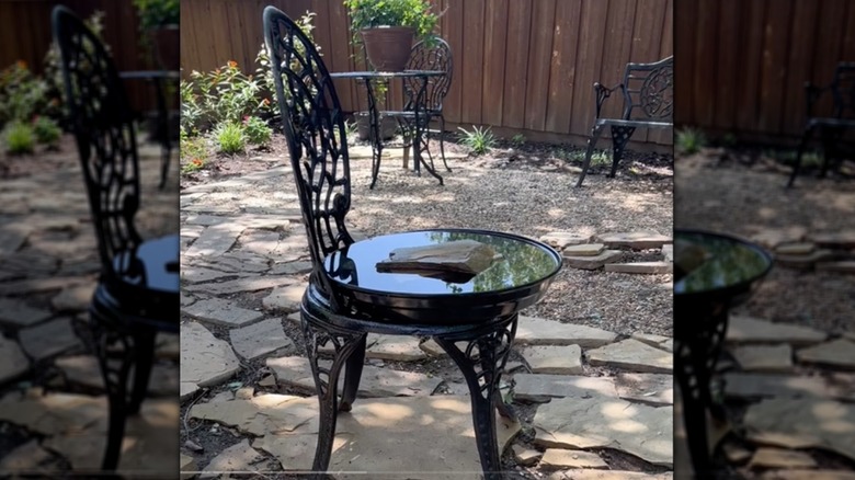 bird bath on chair in backyard