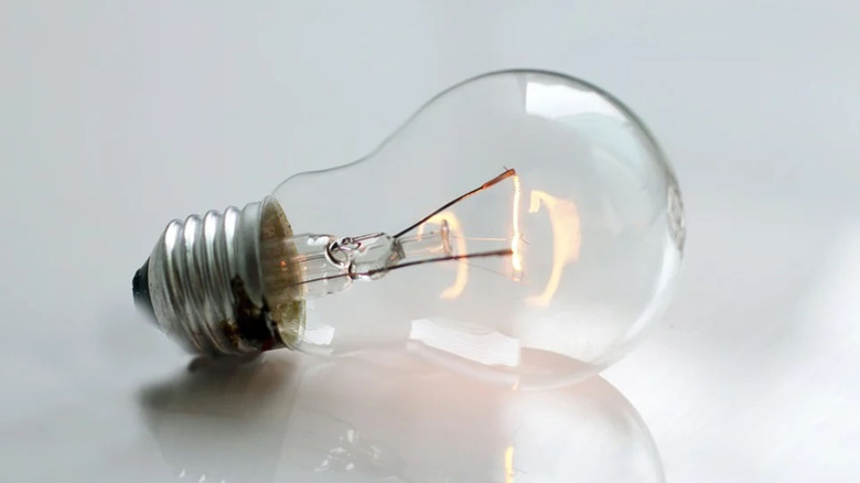 An incandescent lightbulb is visible against a white background.