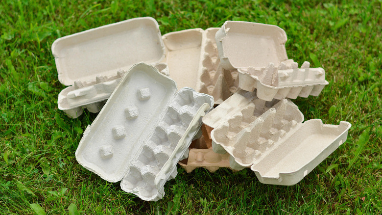 A pile of empty egg cartons rest on green grass