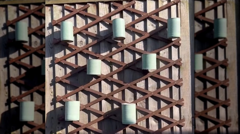 Wooden trellis on a fence with green-painted cans nailed to it