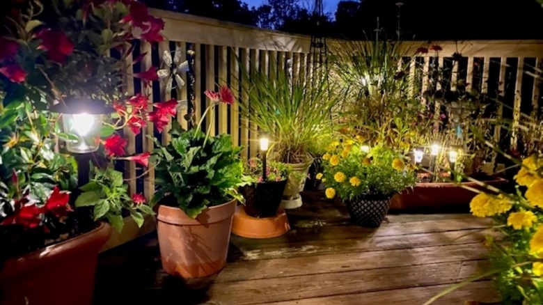 lush planters on a wooden deck illuminated with solar lights