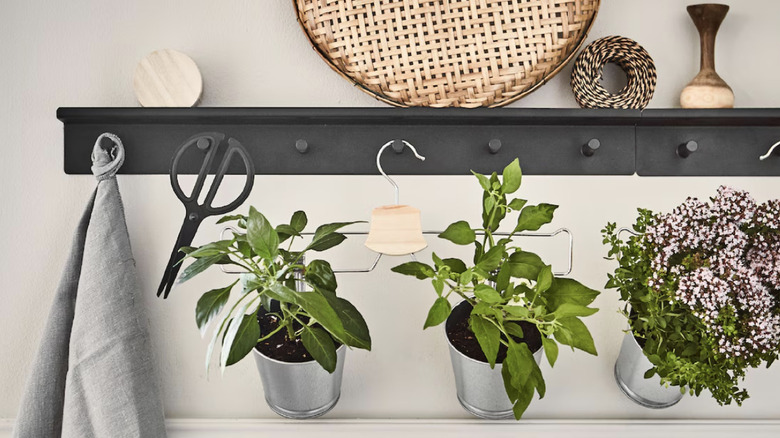 Plant buckets hanging from IKEA hanger