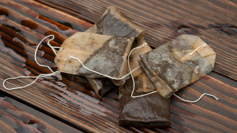 Used teabags on wood table