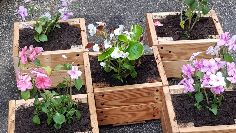 Simple DIY wooden flower planters