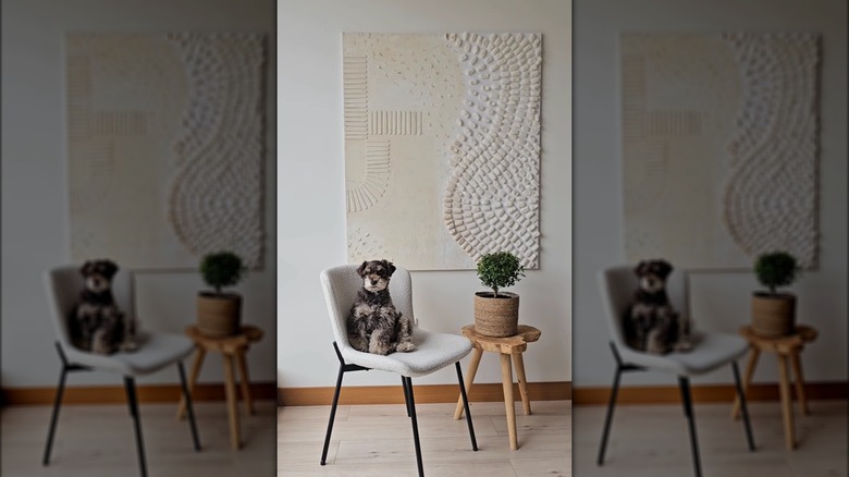 Wall art made from styrofoam packing peanuts behind dog sitting on chair