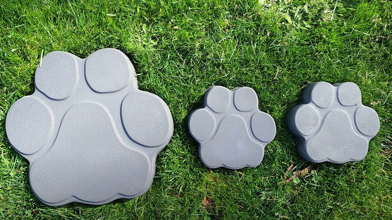 paw stepping stones